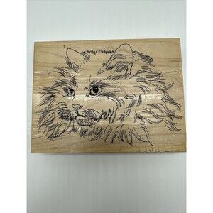 Persian Cat Xlarge Kitty Amazing Detail Fluffy Big Eyes Rubber Stamp Rare